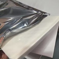 Fabrikpreis A4-Format 25 Blatt/Beutel Essbares Zuckerpapier Gusszuckerpapier für Kuchendekoration