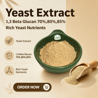 Poudre de Bêta-Glucane de Levure Hydrosoluble Qualité Cosmétique 90% 1,3-D Bêta-Glucane 70% 80% Extrait de Levure en Vrac Qualité Alimentaire 1kg