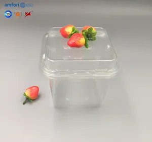 Gıda sınıfı özel tek kullanımlık şeffaf şeffaf PET plastik saklama kutusu