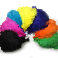 Plumes d'autruche naturelles, multicolores, teinte, vente en gros, 5 tailles, vente en gros