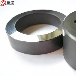 SIC silicon carbide ceramic polishing ring ring seal