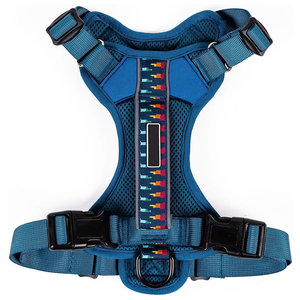 <span class=keywords><strong>Harnais</strong></span> anti-traction en maille de nylon pour chiens, avec sangle en Y réglable, anti-évasion, vert néon, <span class=keywords><strong>harnais</strong></span> de mode pour animaux de compagnie - Product Image 4