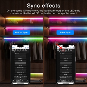 GL-C-616WL gledopto Lan đầu vào ESP32 WLED kỹ thuật số Led điều khiển ESP-NOW điều khiển từ xa Pixel Led Receiver phân khúc kiểm soát - Product Image 4