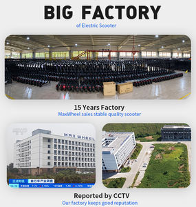 중국 공장 재고 600w 강력한 모터 48v 오프로드 스쿠터 T4 높이 조절 빠른 성인 접이식 전기 스쿠터 도매 - Product Image 6