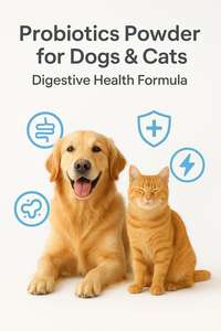 Masticables probióticos Premium para mascotas para apoyo digestivo, fortalecen el sistema inmunológico y mejoran la absorción de nutrientes - Product Image 4