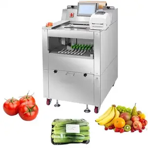 Pesagem Automática De Rotulagem Filme Aderir Comida Do Mar Máquina De Embalagem De Carne De Frutas Legumes Stretch Wrap Film Máquina De Embalagem 500