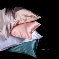 16/19/22/25 Momme Enveloppe 100% Taie d'oreiller en soie de mûrier Lavable Luxe Pure