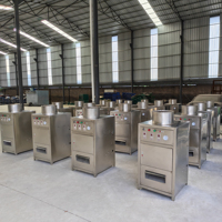 Automatische Knoflook Ui Fruit Schilmachine 1000kg/u Capaciteit Hoge Efficiëntie 304 RVS 220V 1 Jaar Garantie