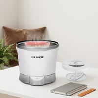 LifeBasis GT-U3 Pembersih Ultrasonik Portabel Elektrik 220ML 42KHz dengan Timer Digital Bahan Stainless Steel untuk Gigi Palsu, Kacamata, dan Peralatan Rumah Tangga
