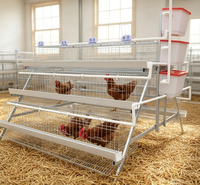 Cage à volailles de type 4 à longue portée pour 160 oiseaux, pour bâtiment avicole