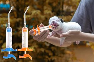 家畜用ロングステンレスノズル点滴注射器、薬剤注入ガン（Seringa De Alimentacao De Medicamentos） - Product Image 5