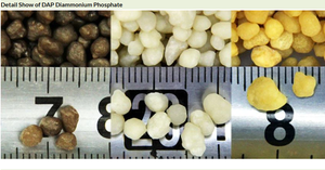 Fertilizzante Fosfato Diammonico DAP NPK 18-46-0, 18% Azoto, 46% Fosforo, Grado Agricolo, Fornitura Diretta dalla Fabbrica, Aumenta la Resa - Product Image 3