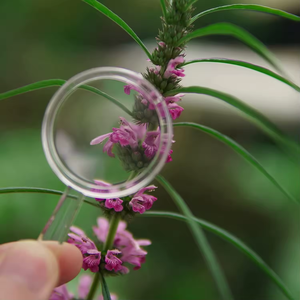 <strong>Mini</strong> Plastic Handheld Magnifying <strong>Glasses</strong> Portable <strong>Reading</strong> Magnifier for Senior and Kids - Product Image 4