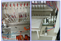 Machine de remplissage de type linéaire d'eau de blanchiment/remplisseur automatique de javelle pour le liquide moussant chimique/niveau liquide de haute précision