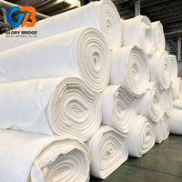 Tissu géotextile non tissé en polypropylène 300 g/m² pour la construction routière, le drainage, la filtration, la séparation des sols et le renforcement