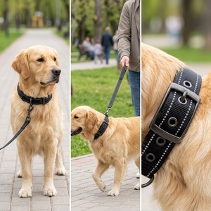 Collar de Perro Resistente con Asa |   Diseño Reflectante Acolchado de Nailon Balístico |   Collares <span class=keywords><strong>El</strong></span>ásticos Ajustables con Hebilla para Perros - Product Image 5