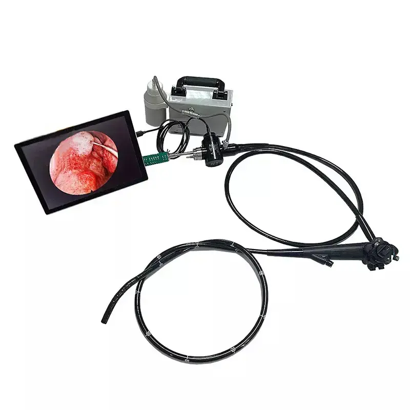 Veterinary Equipment animal Endoscope Portable USB Video Gastroscope and Colonoscope