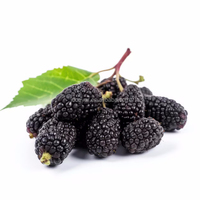 Premium IQF Diepvries Zwarte Moerbei Hele Vruchten Variëteit Morus Nigra BRC HACCP Gecertificeerd Bulk Fruit voor Sap Bakkerij Groothandel Fabriek