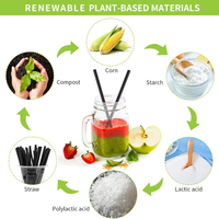 Paille en papier brun PLA biodégradable 6 * jetable pour les fêtes de Noël d'Halloween respectueuse de l'environnement pour les amis