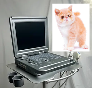 獣医用超音波スキャナラップトップ動物用超音波マシン - Product Image 5