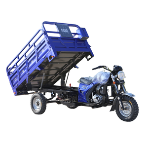 Tricycle à essence 200cc avec moteur Zongshen, cadre renforcé, caisse de <span class=keywords><strong>chargement</strong></span> à double <span class=keywords><strong>rail</strong></span>, vente chaude au Ghana pour le transport d'eau - Product Image 1