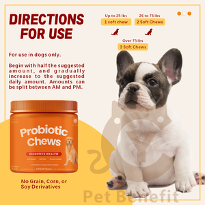 Suplementos Probióticos Masticables para Perros OEM/ODM 3 en 1 para la Salud Digestiva, Absorción Rápida, Sin Granos, para el Estreñimiento y el Mal Aliento, con Bacillus - Product Image 4