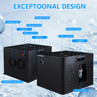 Mini bain de glace et refroidisseur 0,3 ch, refroidissement uniquement, 110 V 220 V, machine de refroidissement d'eau tout-en-un pour la récupération après l'exercice de plongée à froid