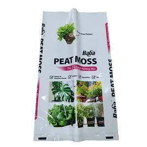 Premium Quality 5 Litres Customised Printed PP PE Laminated Center Flat Seal PE Vacuum Bag