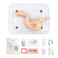 SY-NS19 Endoscopic Training System Gastroduodenal Model with Animal Tissue Assembly for Hands-on Practice