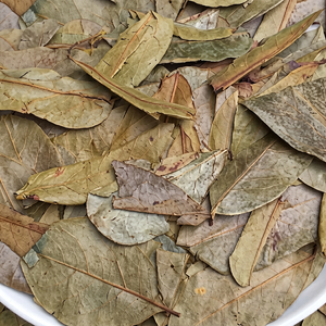 Hojas de Guanábana Orgánicas al por Mayor |   Secado y Limpiado |   Vietnam |   Marca Viet Delta |   Duración de vida útil de 12 meses |   Preparar Té |   Hazel |   Modelo - Product Image 1