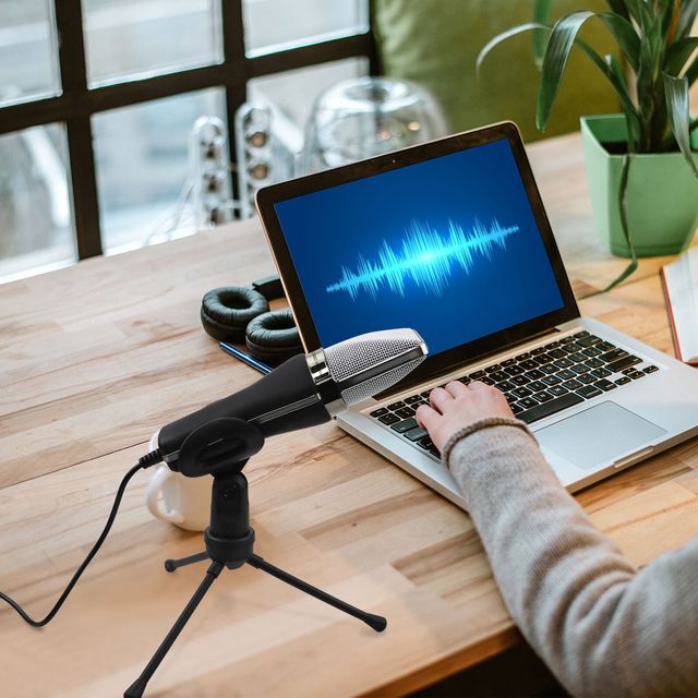 Trendy OEM/ODM Wired Condenser Microphone With Desktop Adjust Stand Gaming Microphone for Video Conference Microphone
