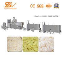 Ligne de production de riz nutritionnel artificiel extrudé FRK, machine à grains de riz enrichis, machine à fabriquer du riz extrudé