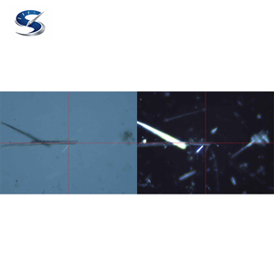 Microscopio Polarizador/Dispersor LV100ND POL/DS para Análisis Cualitativo e Identificación de Asbesto - Product Image 3