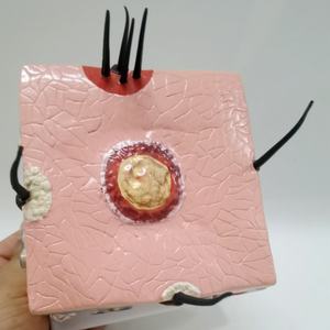 Modelo de PVC de Alta Calidad para Enseñanza del Proceso de Crecimiento del Cabello, Alopecia, Trasplante Capilar, Foliculitis y Nervio Capilar - Product Image 4