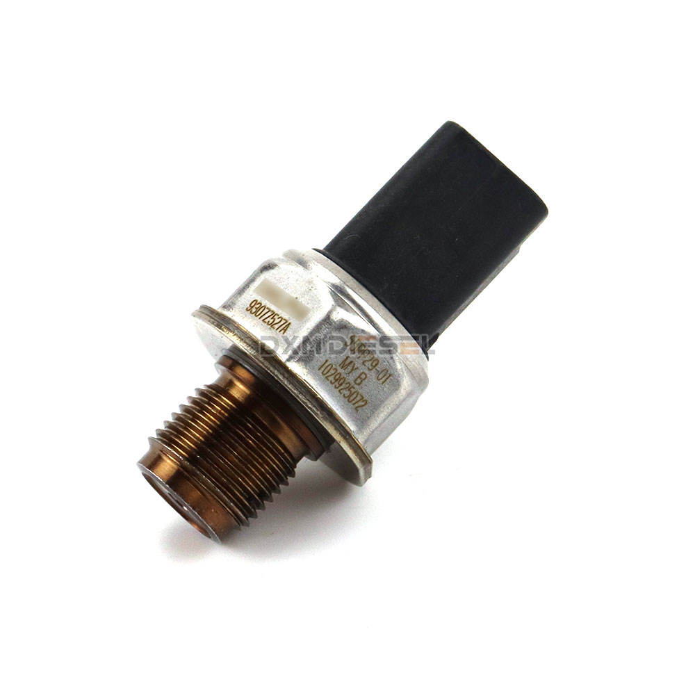 Ssangyong Korando 2.0 Xdi 9307z5için orijinal yakıt rayı basınç