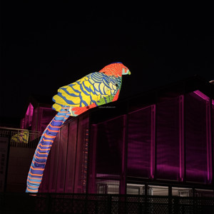 Pájaro Inflable Colgante, Tucán Inflable Colorido con Tira LED para Decoración de Discotecas, Mascota de Loro Inflable LED - Product Image 4
