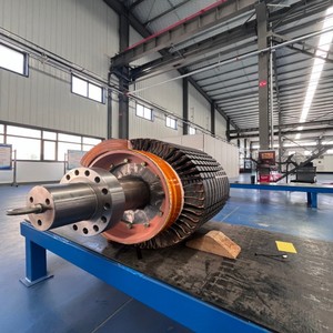 Motor Asíncrono Trifásico de Alta Tensión a Prueba de Explosiones de Alta Calidad OEM ODM YBX3 50Hz - Product Image 6