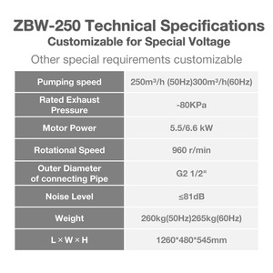 औद्योगिक अनुप्रयोगों के लिए ZBW-250 तेल-मुक्त तीन-चरण मोटर वैक्यूम पंप 250 m/h 5.5-6.6kw कम शोर 81db ओम - Product Image 3