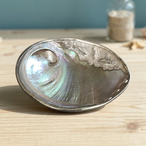 Assiette élégante de luxe en nacre pour servir des desserts fins, du caviar et pour une présentation décorative à la maison, en provenance du Vietnam - Product Image 3