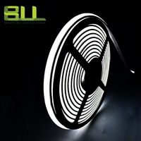 IP67 COB Bande lumineuse LED flexible sans points 3000K 4000K 6500K CRI90 24V COB lumière LED