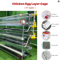 Cages à poules pondeuses en acier galvanisé pour élevage avicole, équipement de ferme avicole