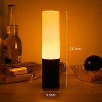 Décoration flexible de lumières de boîte de nuit LED sans fil portables avec des caractéristiques de fantaisie d'ambiance de charge de batterie