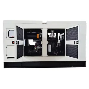 Fabriek 64kw/80kva 220V/380V/50Hz Drie Fase Stille Diesel Generator Set Beroemde Merk Geschikt Voor Kantoor Primaire Gebruik Generator