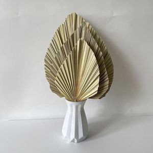 Feuilles de palmier <span class=keywords><strong>séchées</strong></span> à l'air naturel de style Instagram pour magasin de <span class=keywords><strong>fleurs</strong></span>, meubles d'ameublement et décoration de lieu de mariage - Product Image 5