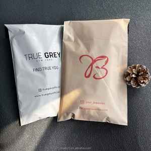 Bolsas de Correo Personalizadas con su Propio Logotipo, Bolsas de Correo Biodegradables de Poliéster Mate Beige, Bolsa de Envío de Poliéster - Product Image 2