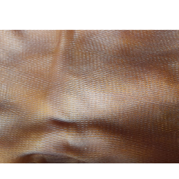 Материал Натуральный каучук Прямая поставка с завода и торговля лучшим качеством и большим количеством ребристых копченых листов