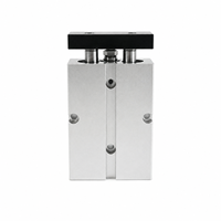 Cylindre pneumatique compact à double tige en alliage d'aluminium TN20X30S, actionneur à double arbre, aimant intégré, réponse rapide