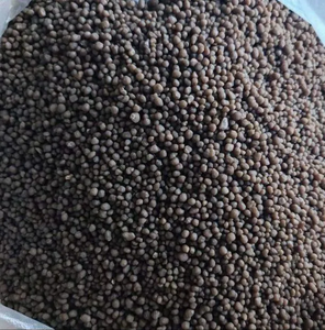 Approvisionnement en vrac d'<span class=keywords><strong>engrais</strong></span> DAP 18-46-0 pour les grands projets agricoles - Product Image 1