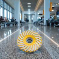 Tampons de polissage diamantés en résine spirale de qualité supérieure grain 50-3000 pour la finition professionnelle de la pierre
