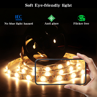 Bande LED Diffuseur de Lumière 24V Type S, 30 LED par Bande, Découpable, PCB Cuivre 10mm pour Panneaux Publicitaires, Lettres Lumineuses, Enseignes